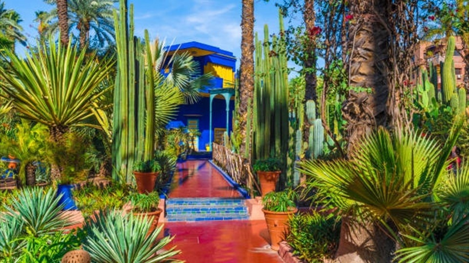 Tropical garden at Le Jardin Majorelle