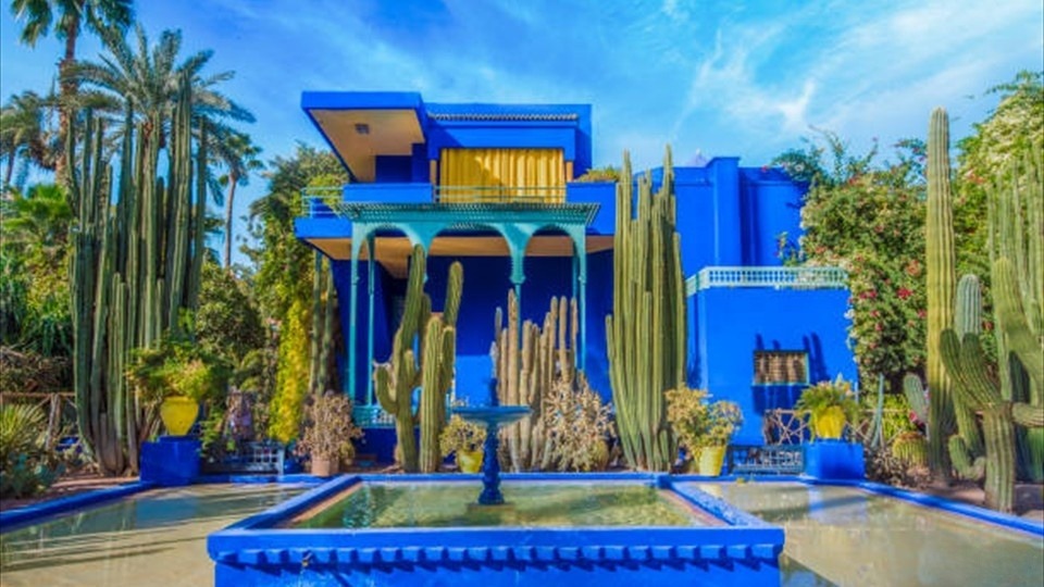 Tropical garden at Le Jardin Majorelle2